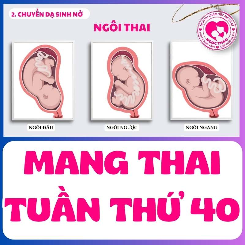 Ngôi thai tuần thứ 40